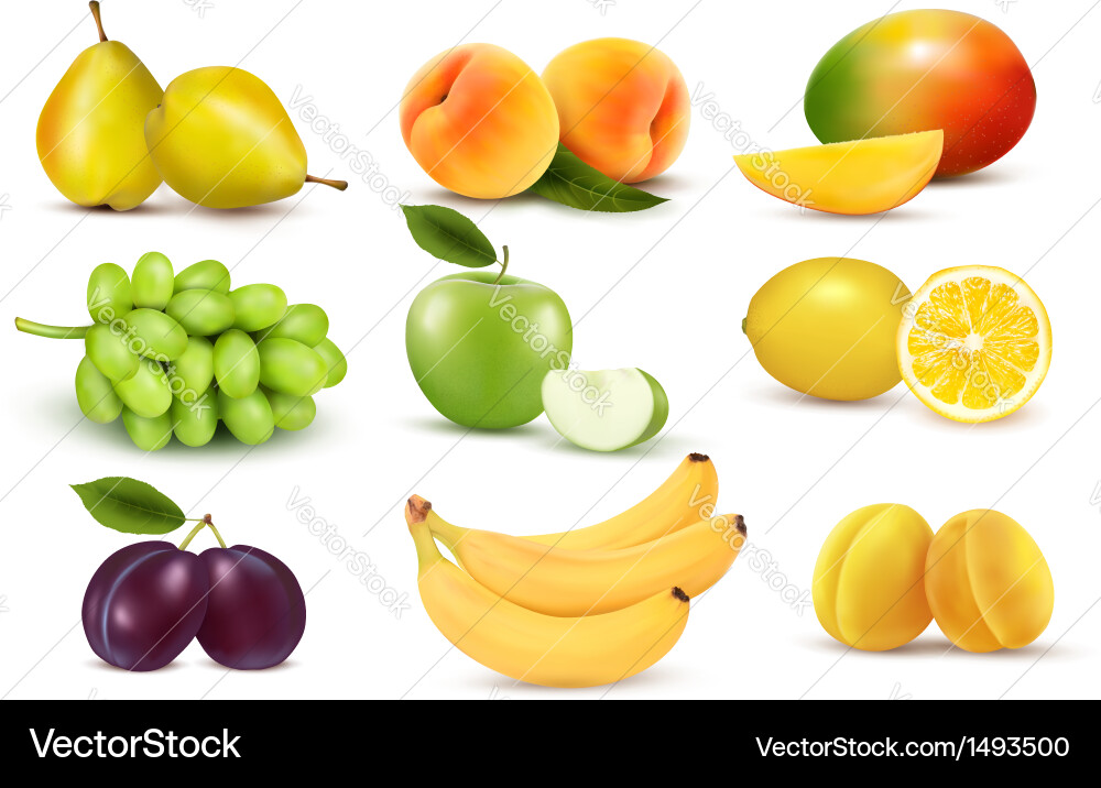 Fruits set Royalty Free Vector Image - VectorStock
