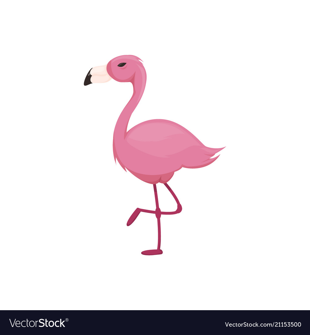 Pink flamingo isolated