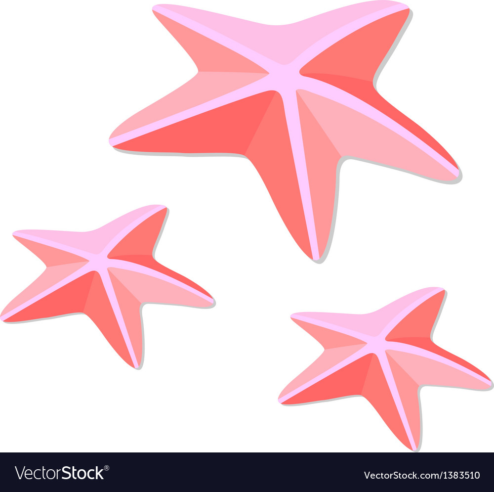 Icon starfish Royalty Free Vector Image - VectorStock