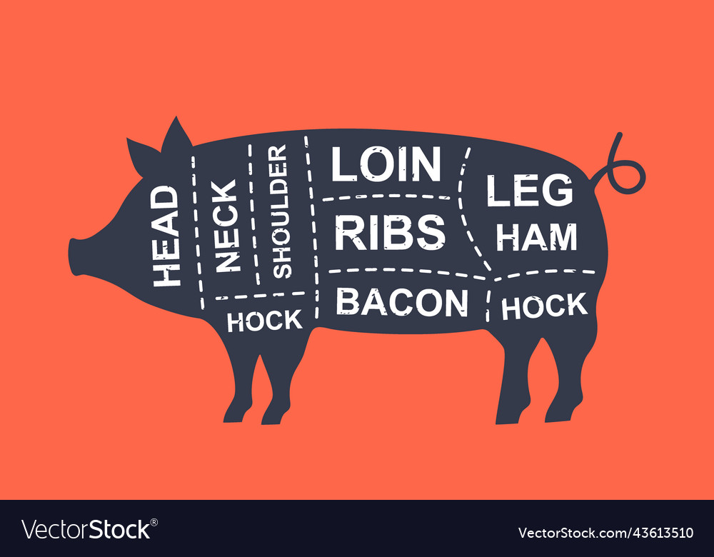 Pig diagram cuts butcher scheme poster cuts Vector Image