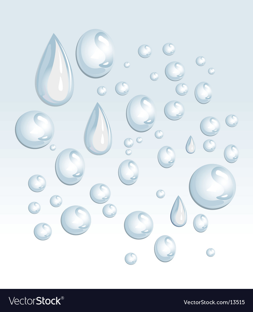 Water drops Royalty Free Vector Image - VectorStock