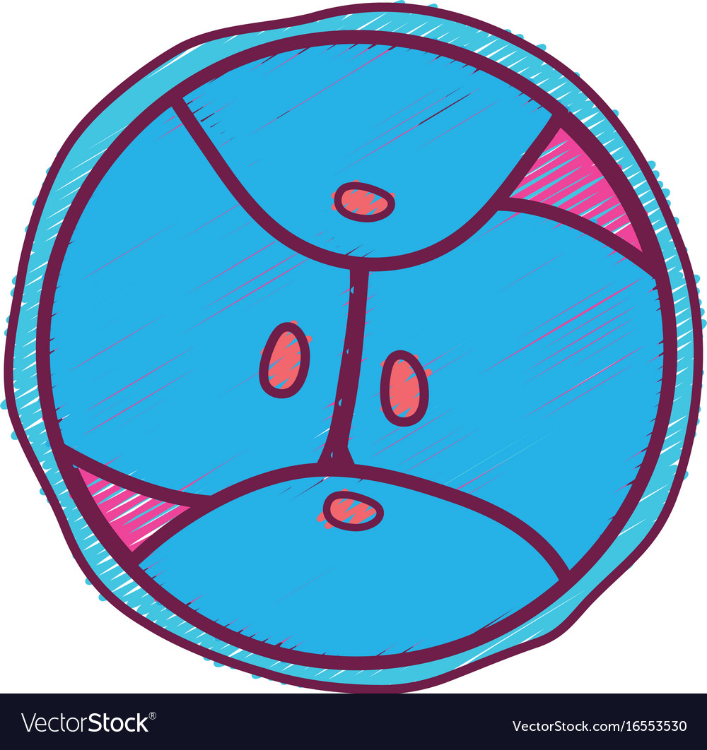 Biology genetic embryo cells division