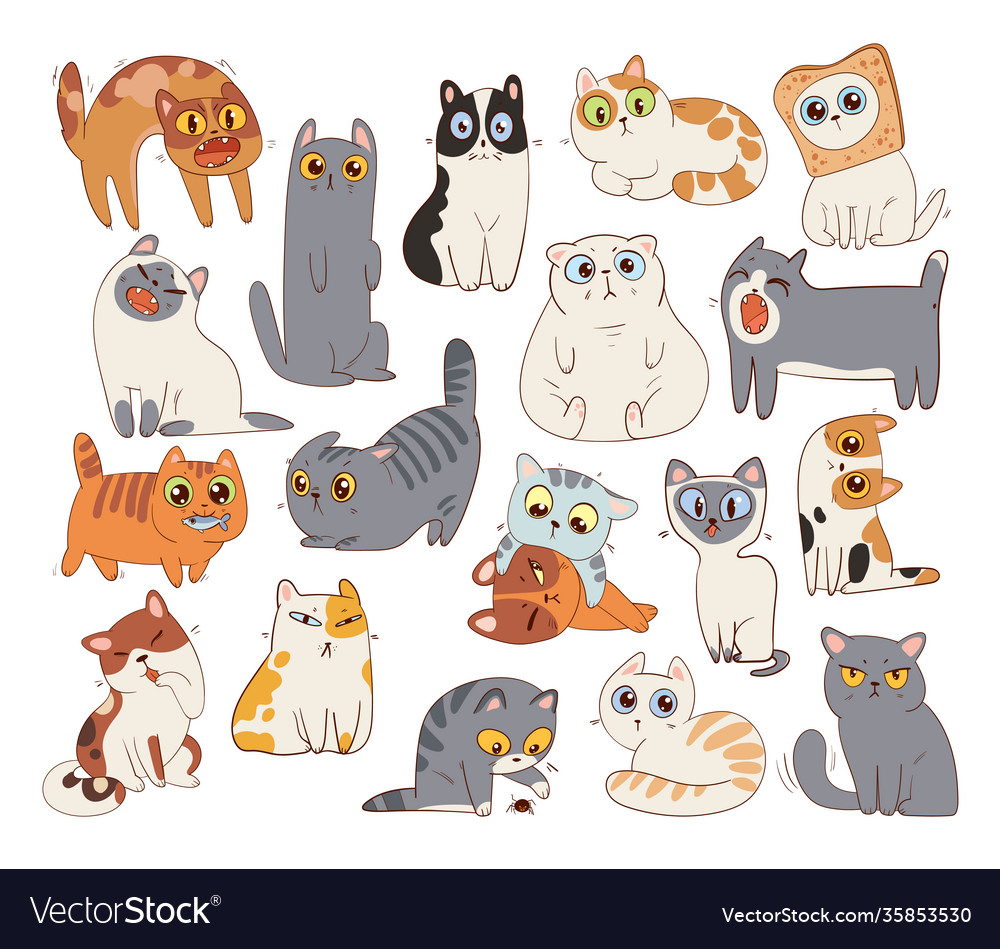 Set different cat breeds Royalty Free Vector Image