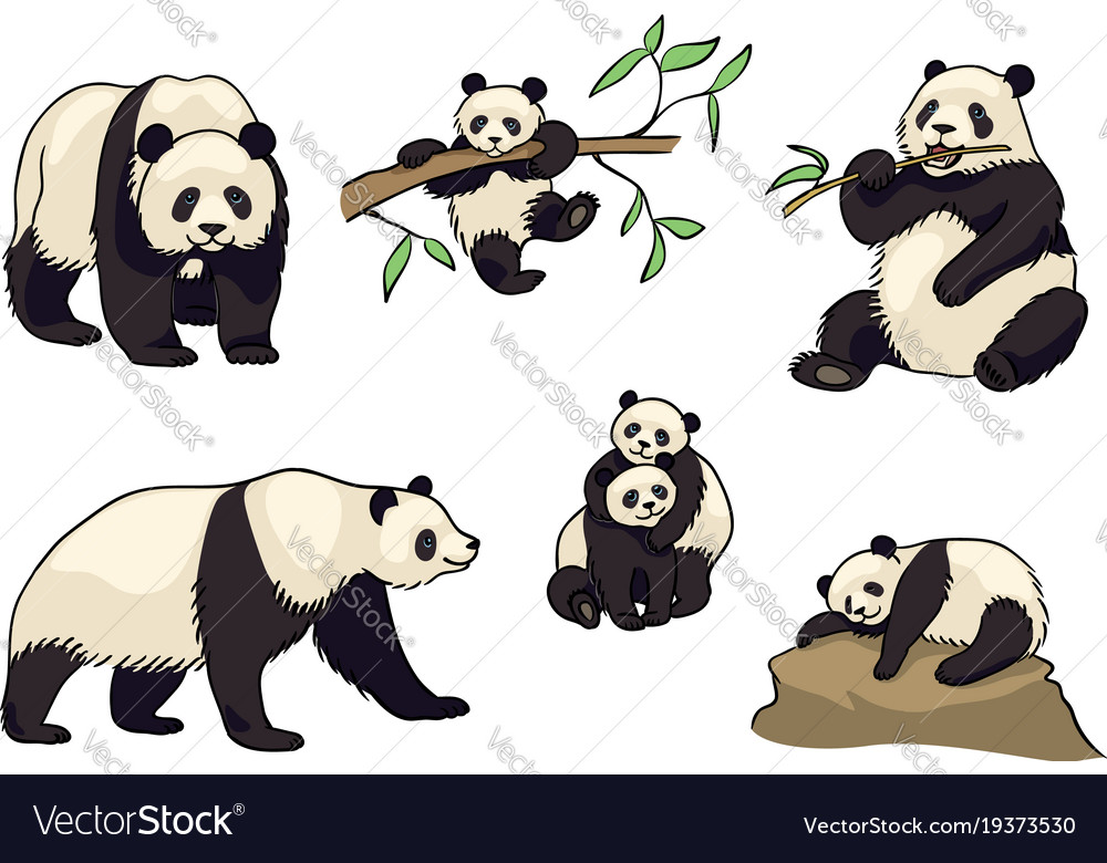 Set of pandas in cartoon style Royalty Free Vector Image