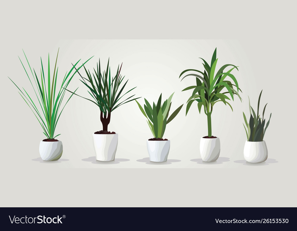 Set realistic green houseplants