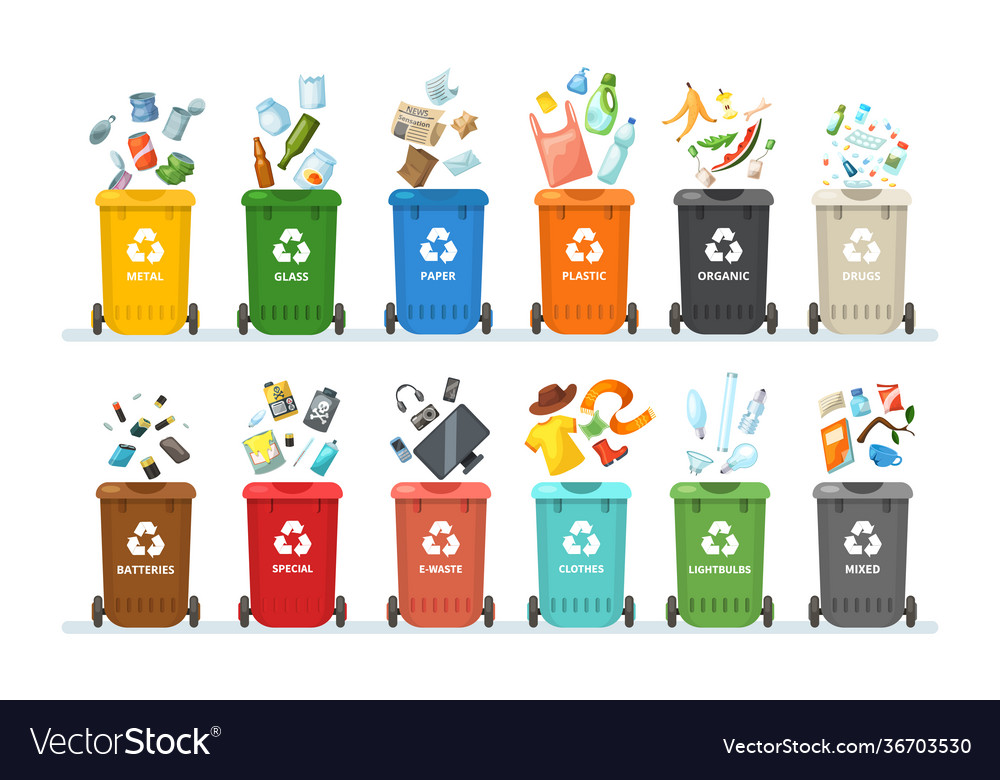 Trash in garbage cans with sorted garbage Vector Image