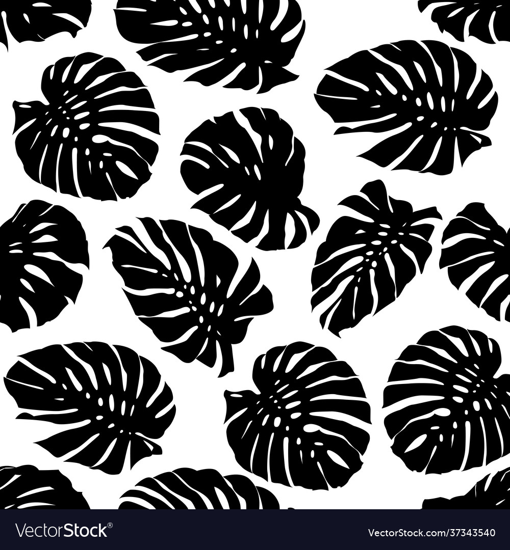 Black and white monstera tropical leaf pattern vector image Black and white monstera tropical leaf pattern