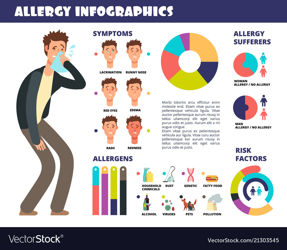 Allergy medical infographic with symptoms and Vector Image