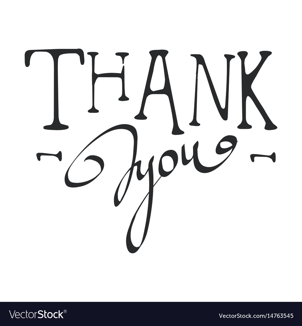 Thank you calligraphy isolated Royalty Free Vector Image