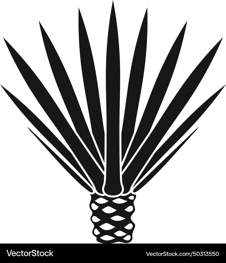 Agave Royalty Free Vector Image - VectorStock