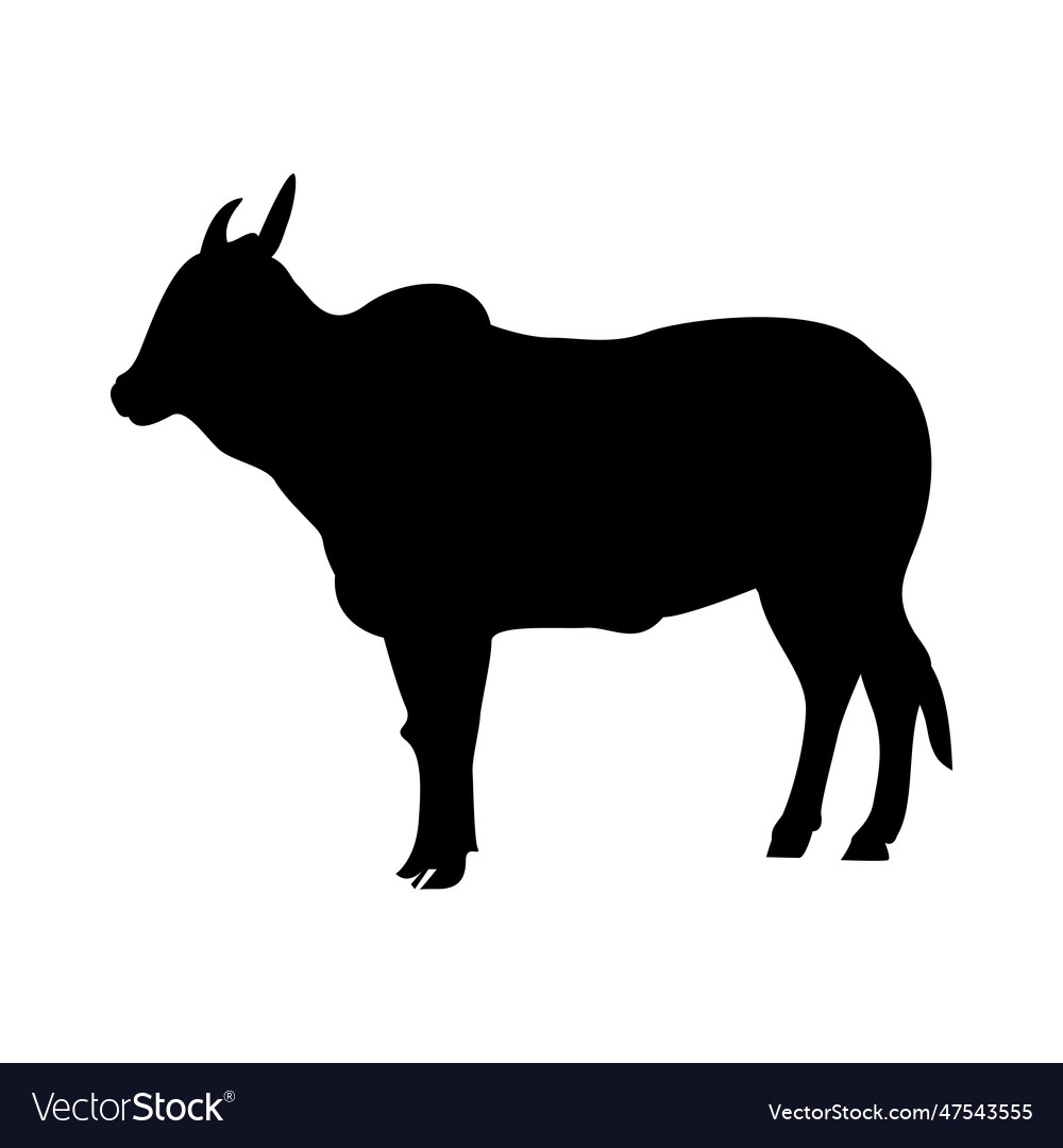 Silhouette of bull on a white Royalty Free Vector Image