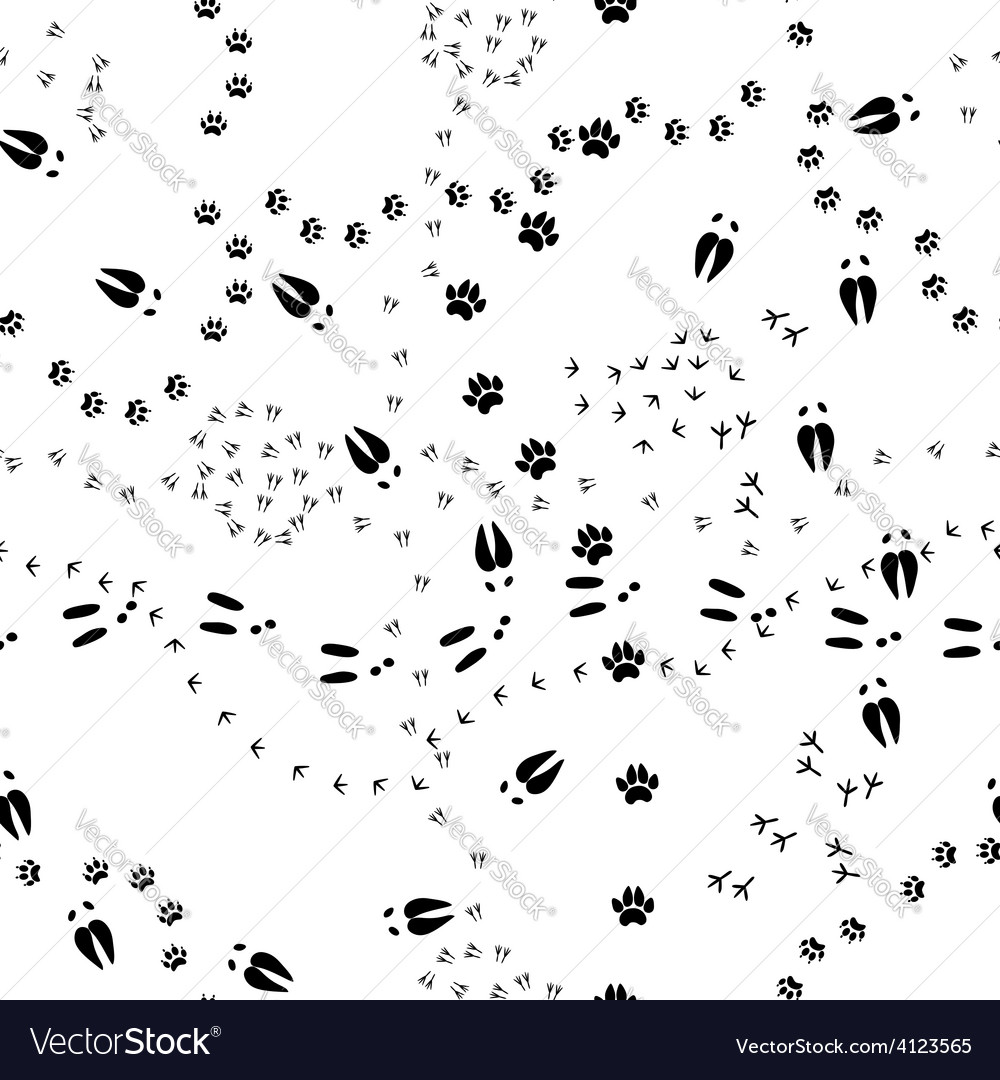 Download Animal tracks Royalty Free Vector Image - VectorStock