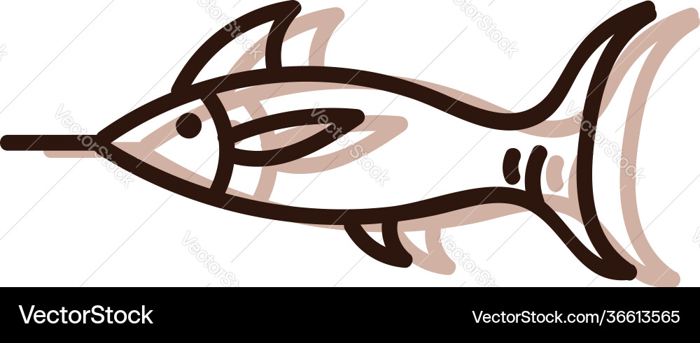 Sea fish with sharpnose on white background Vector Image