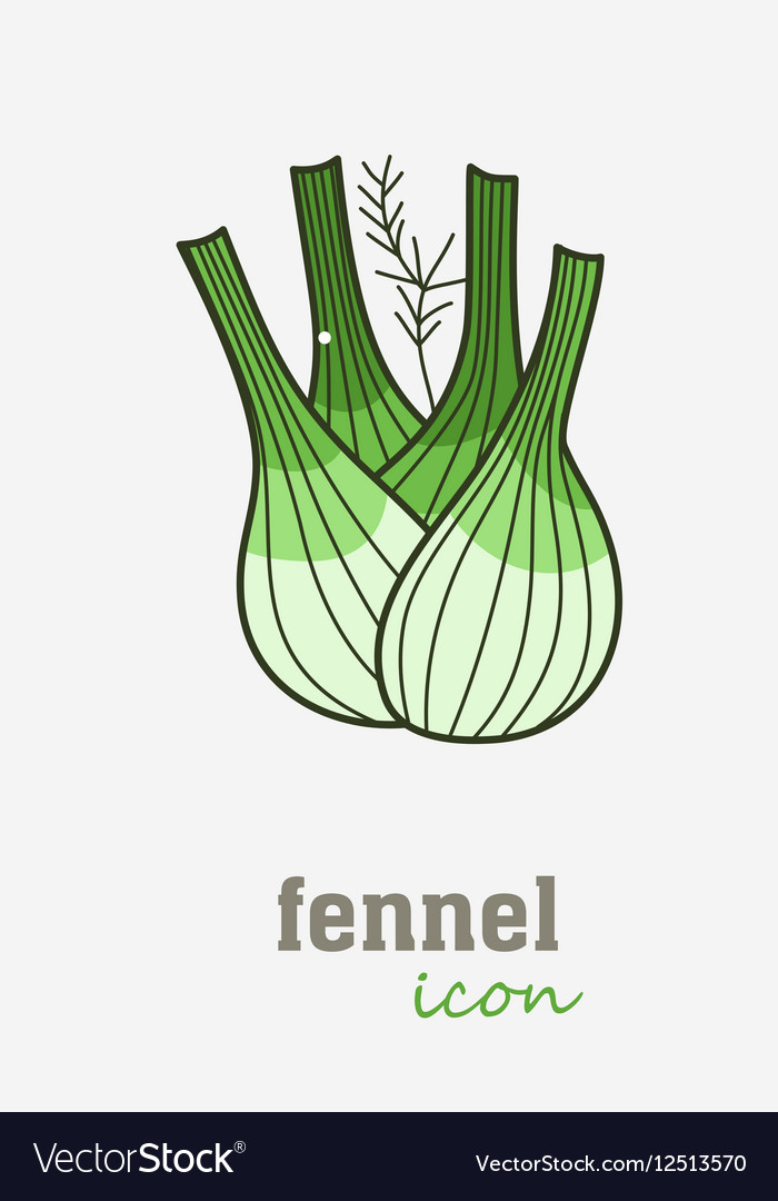 Fennel icon vegetable green leaves