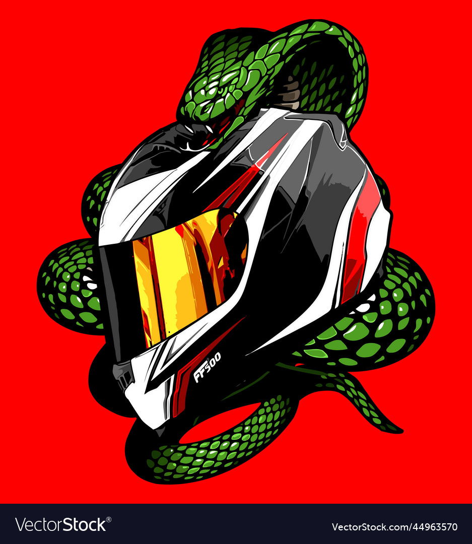 Flow pattern helmet wrapped around a snake