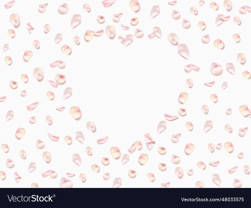 Heart shape made of pink rose petals isolated