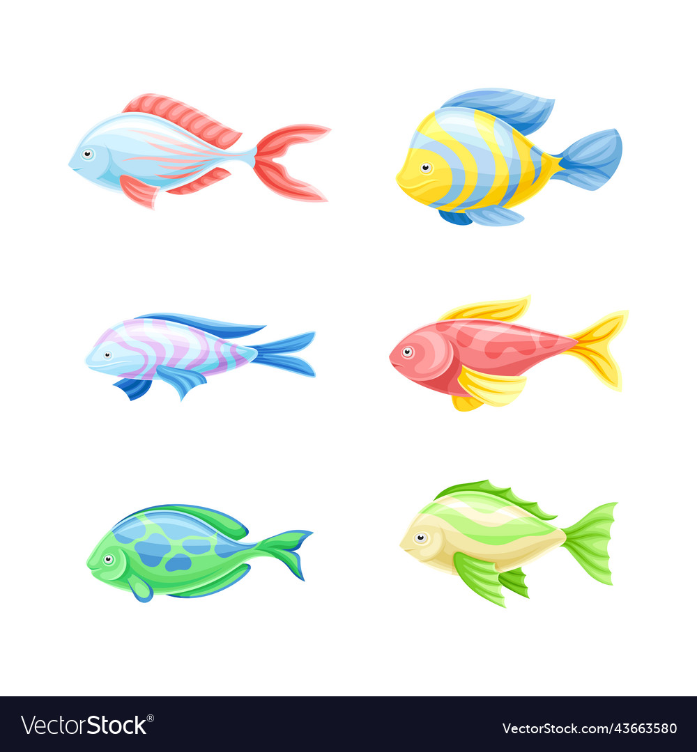 Colorful fish as aquatic gill-bearing animal Vector Image