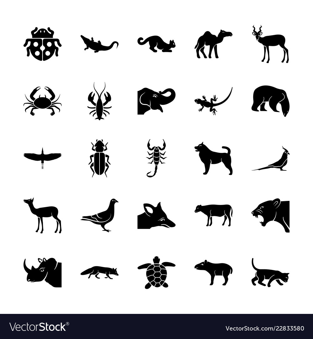 Wildlife solid icons set