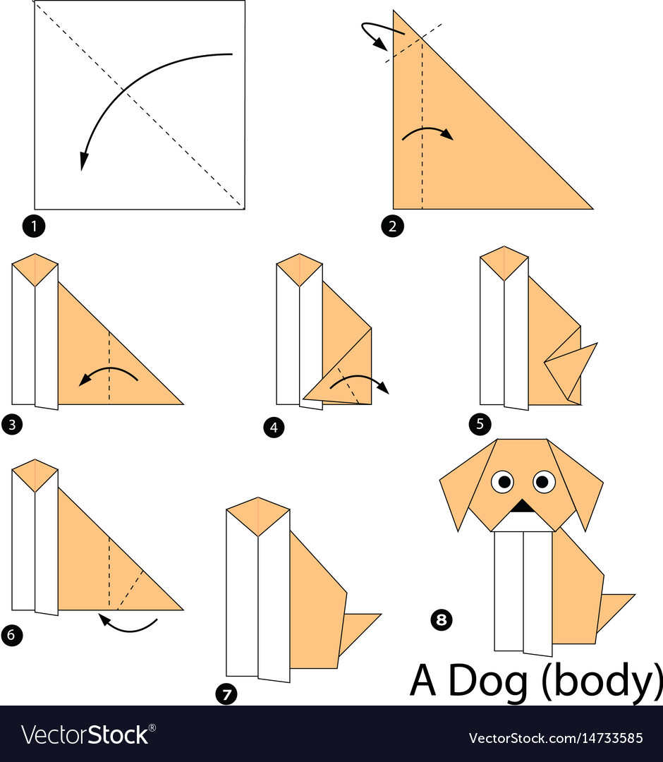 Step by instructions how to make origami Vector Image