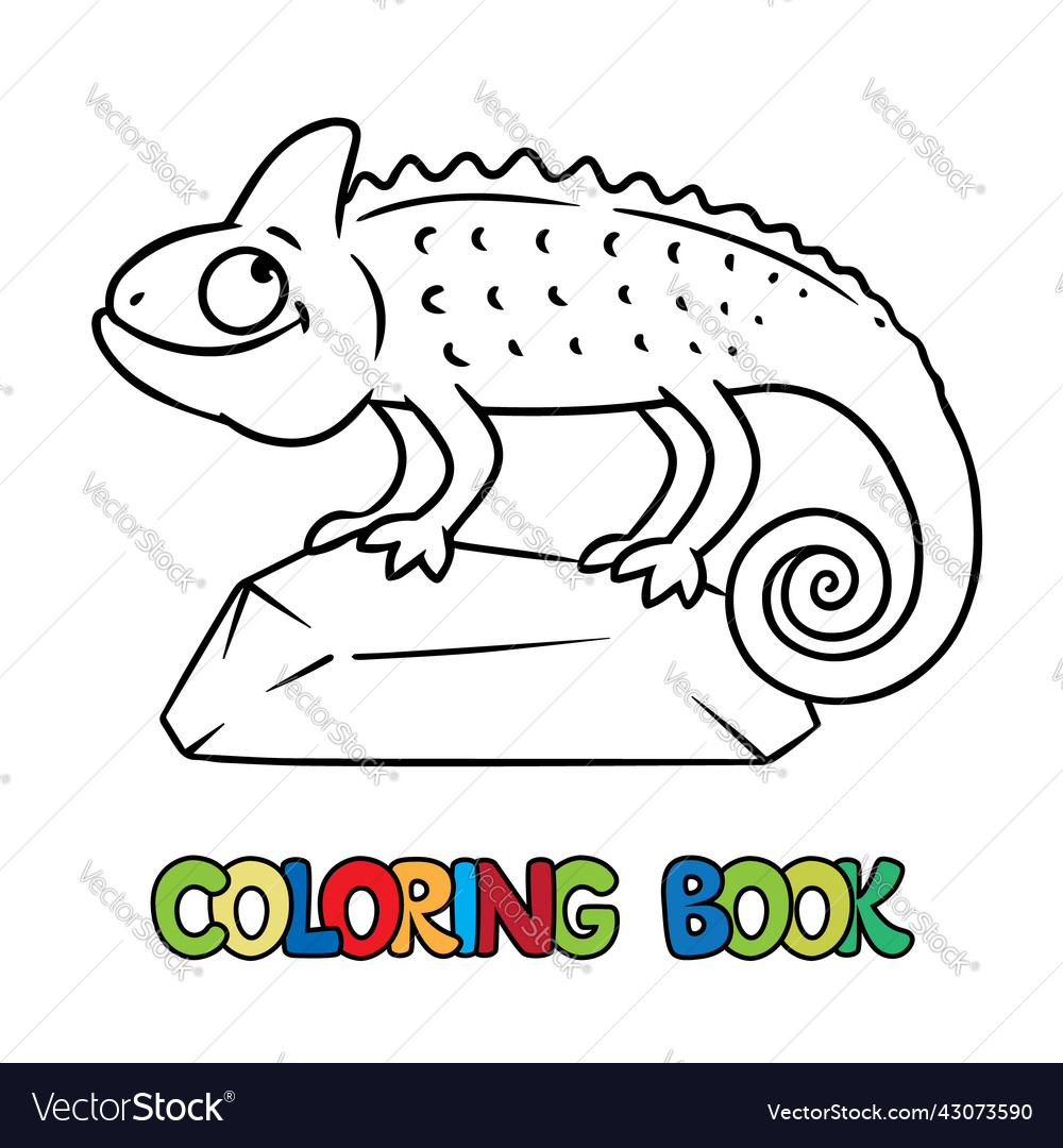 Funny chameleon on the rock kids coloring book