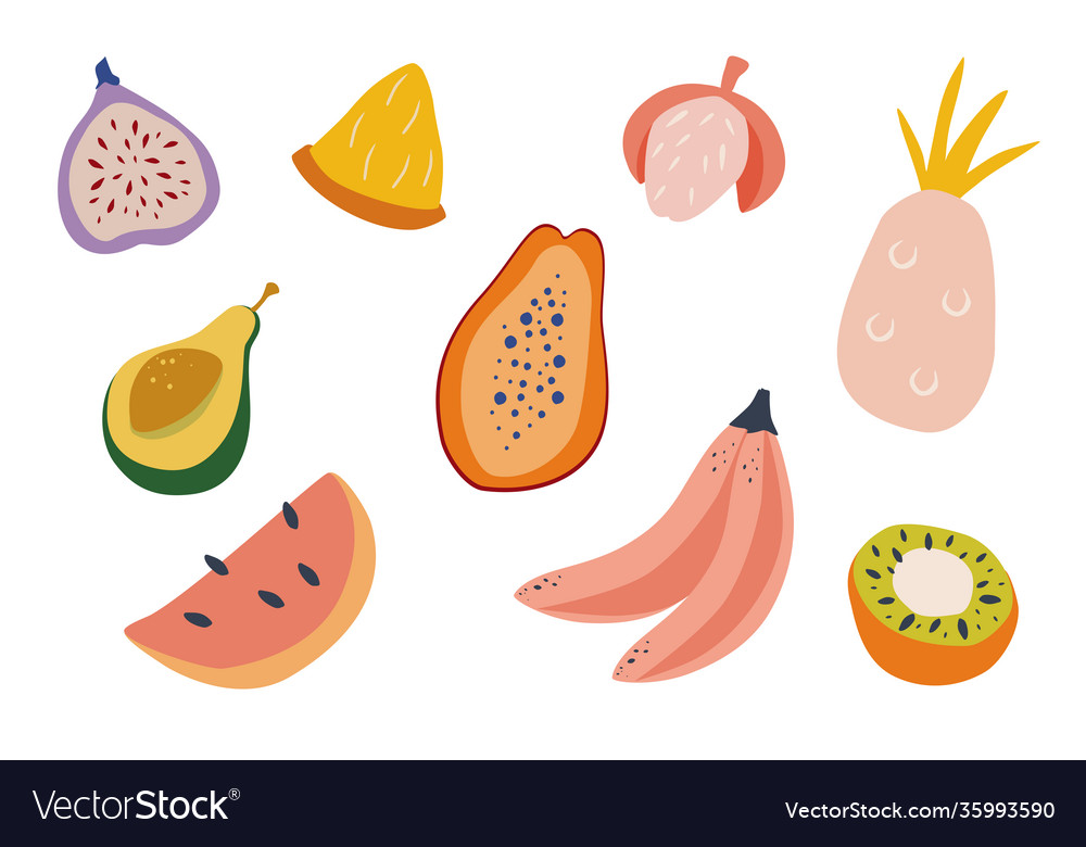 Set doodle tropical fruits natural