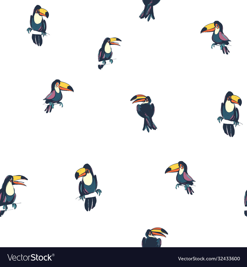 Tropical exotic birds parrots toucans summer vector image Tropical exotic birds parrots toucans summer