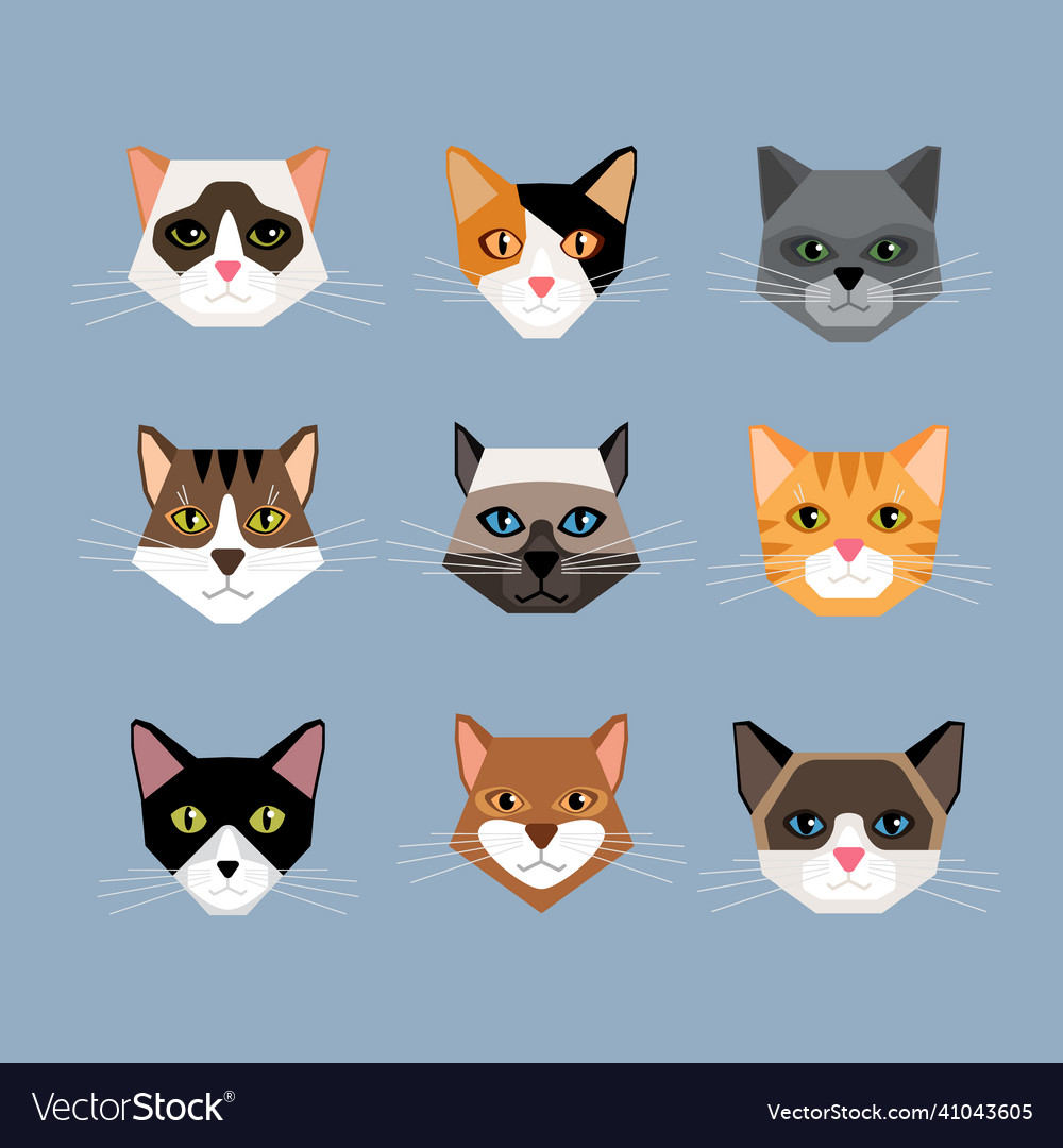 Cats heads in flat style Royalty Free Vector Image