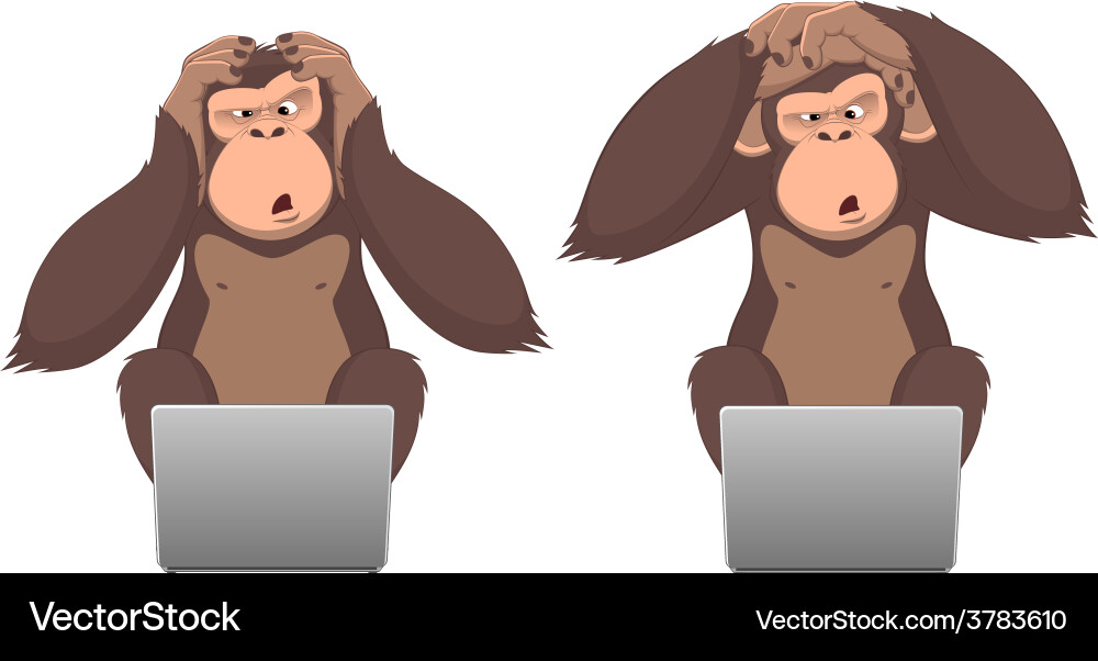 Monkey and computer Royalty Free Vector Image - VectorStock