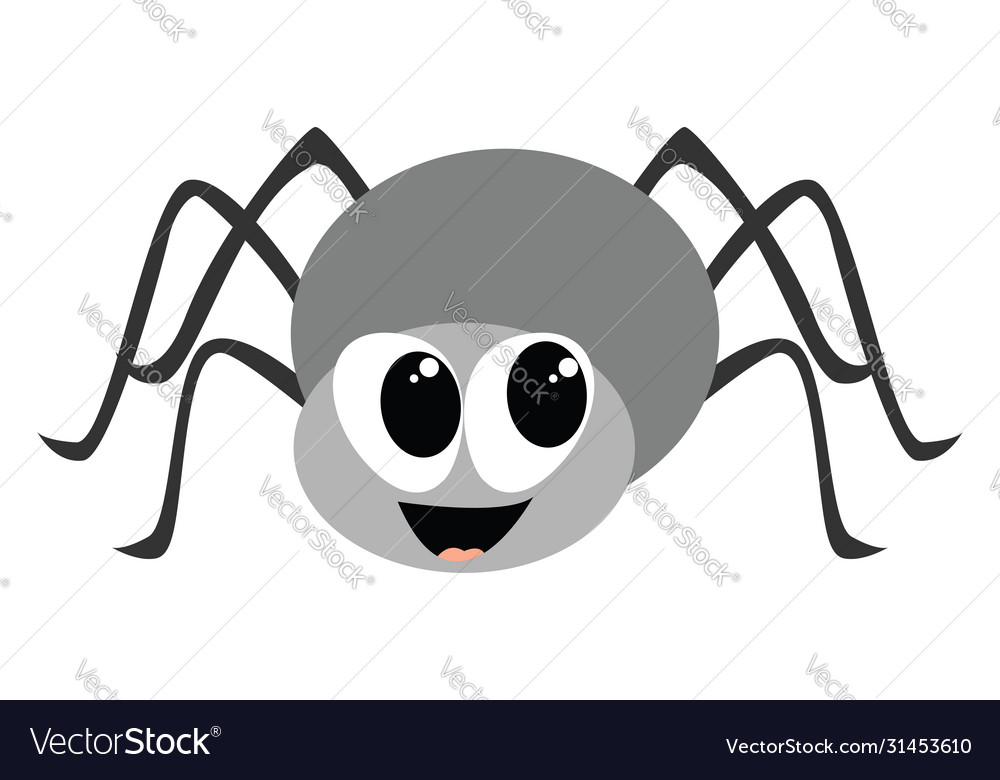 Smiling spider on white background