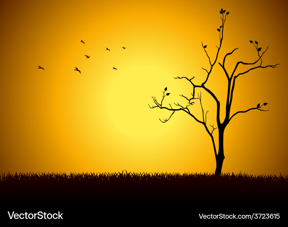 Tree Royalty Free Vector Image - VectorStock