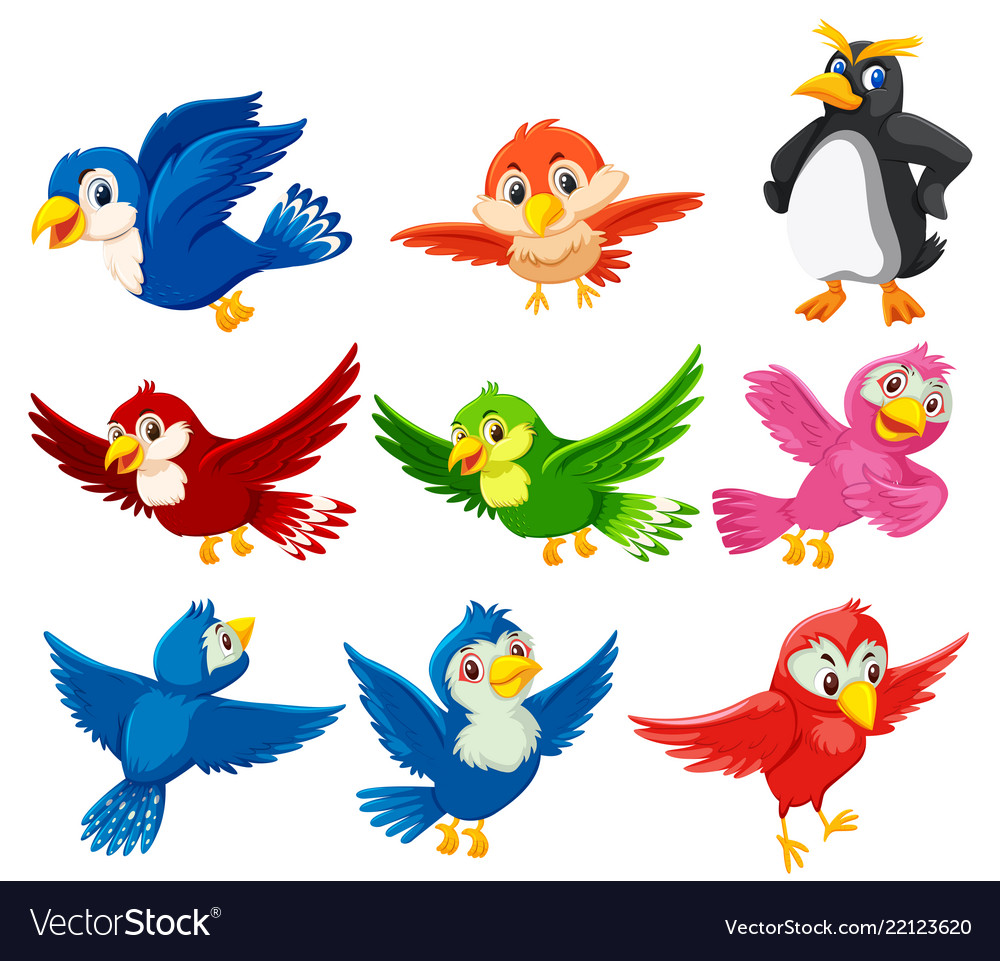 A set of beautiful bird Royalty Free Vector Image