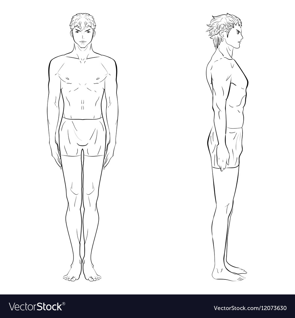 Man woman contour bodies pointers and body parts Vector Image