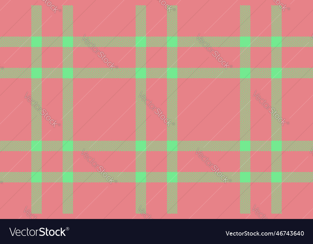 Check plaid background texture pattern fabric Vector Image