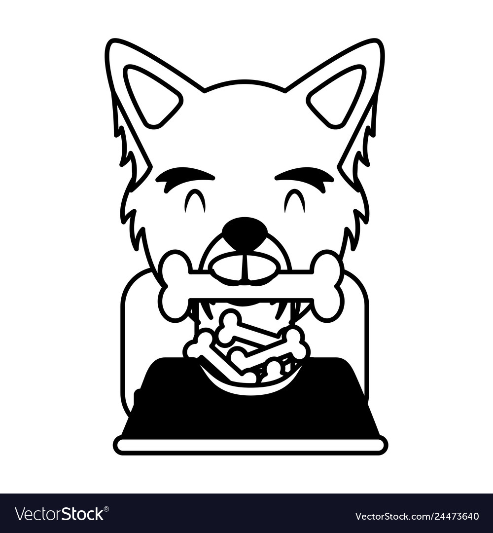 Dog biting bone and bowl food