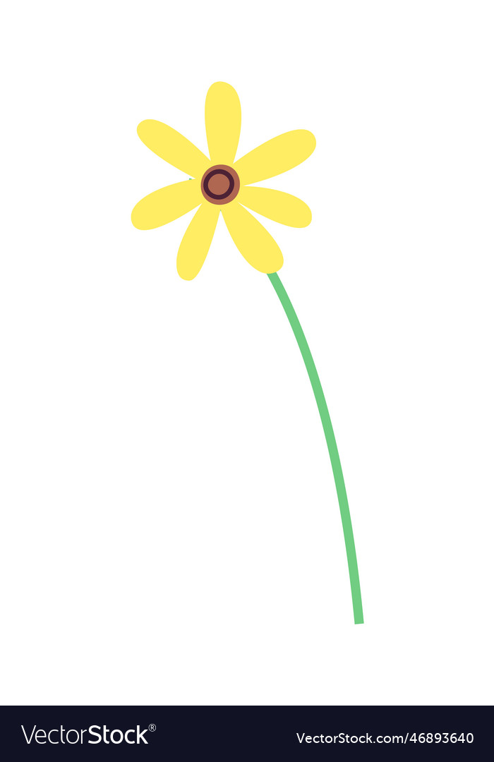 Flower on stem Royalty Free Vector Image - VectorStock