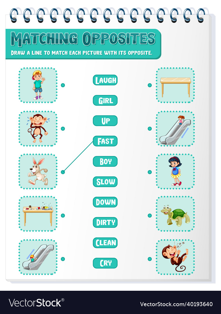 matching-opposite-words-worksheet-template-vector-image-0ee