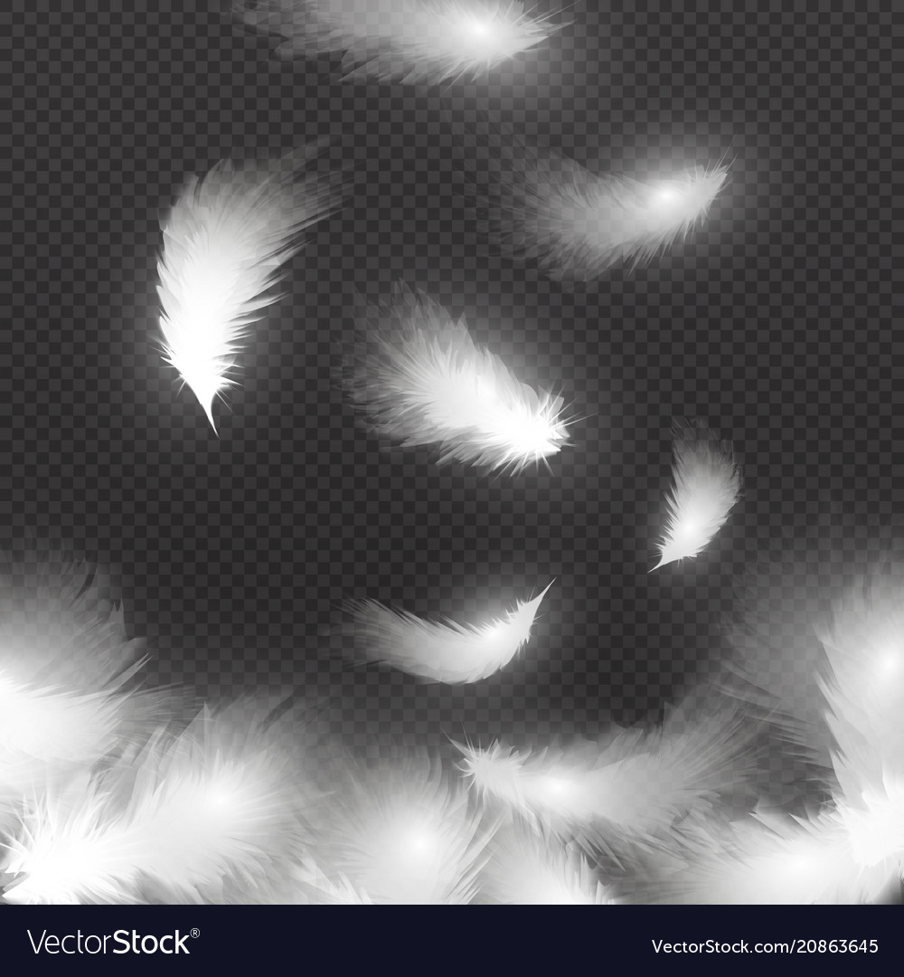 Falling white fluffy feathers on air isolated Vector Image