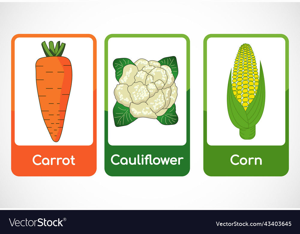 Vegetable flashcards for kids educational cards Vector Image
