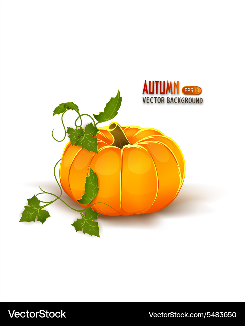 Autumn background with pumpkin Royalty Free Vector Image