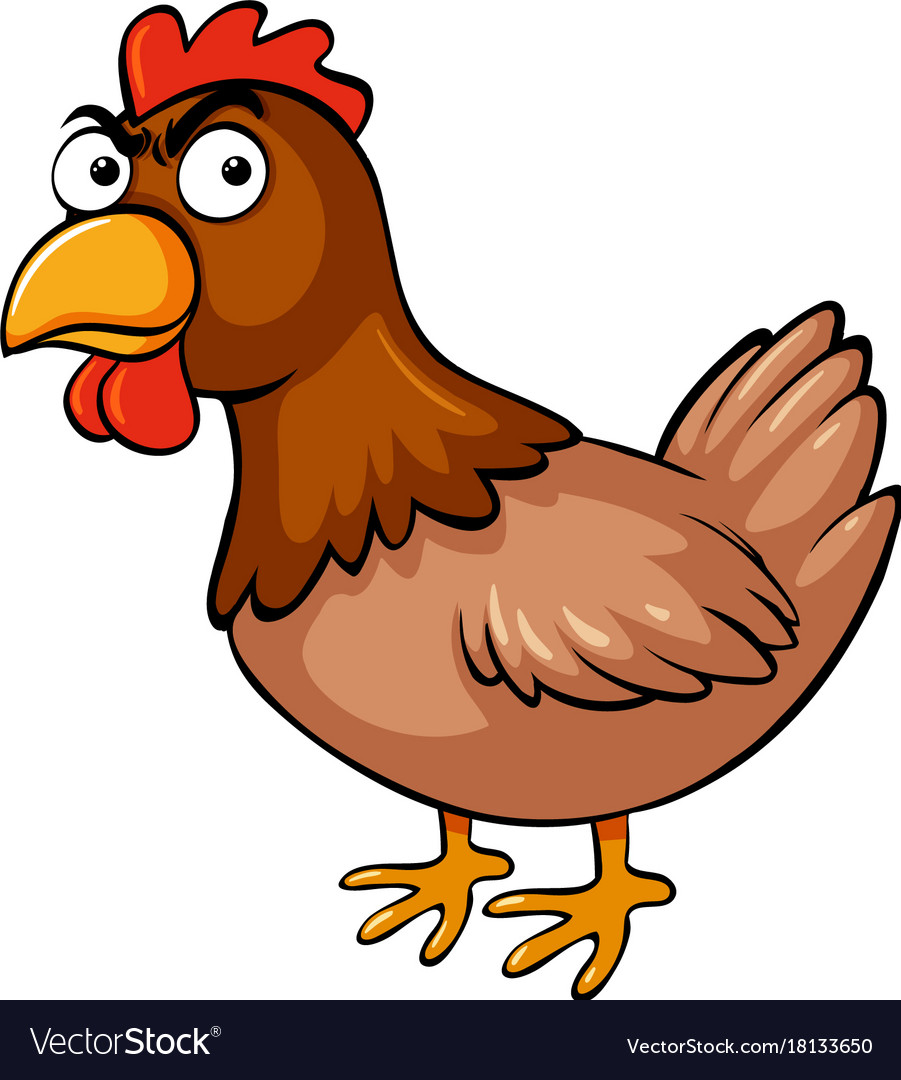 Chicken with serious face Royalty Free Vector Image