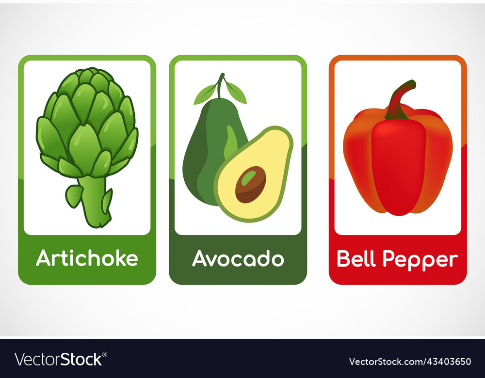 Vegetable flashcards for kids educational cards