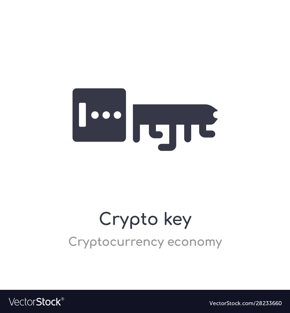 Crypto key icon isolated from