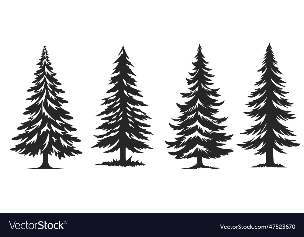 Christmas trees set black pictogram isolated Vector Image