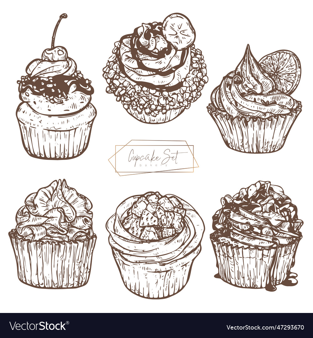 Cupcakes set of dessert with fruits berries Vector Image