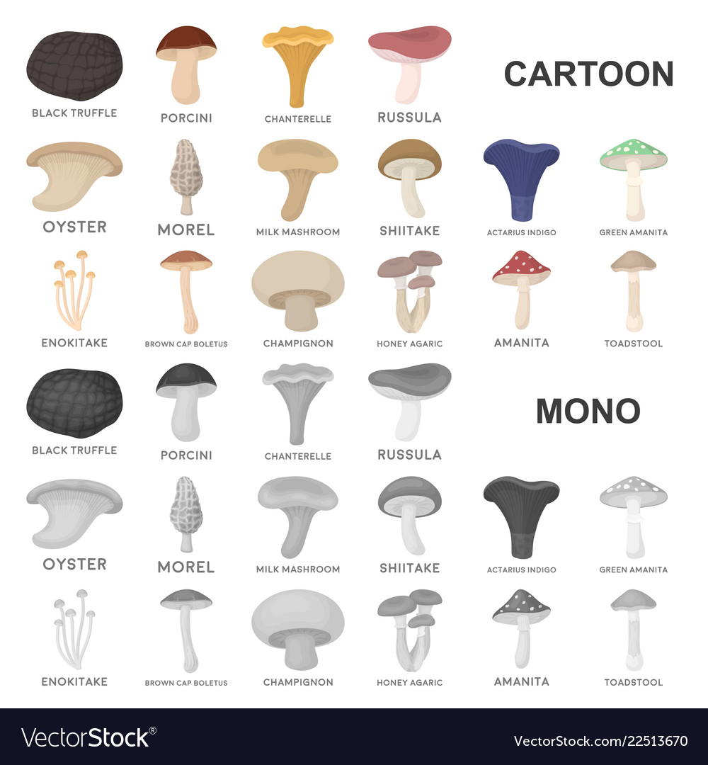 Poisonous and edible mushroom cartoon icons in set