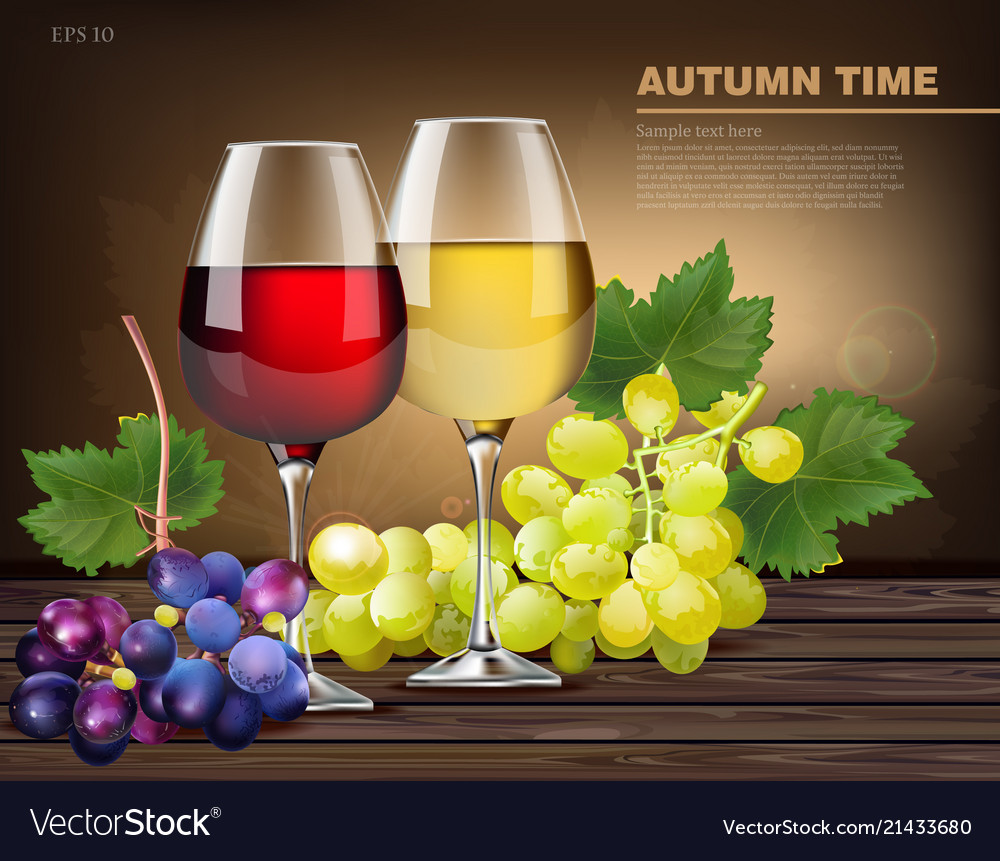 Two glasses wine and grapes vine Royalty Free Vector Image