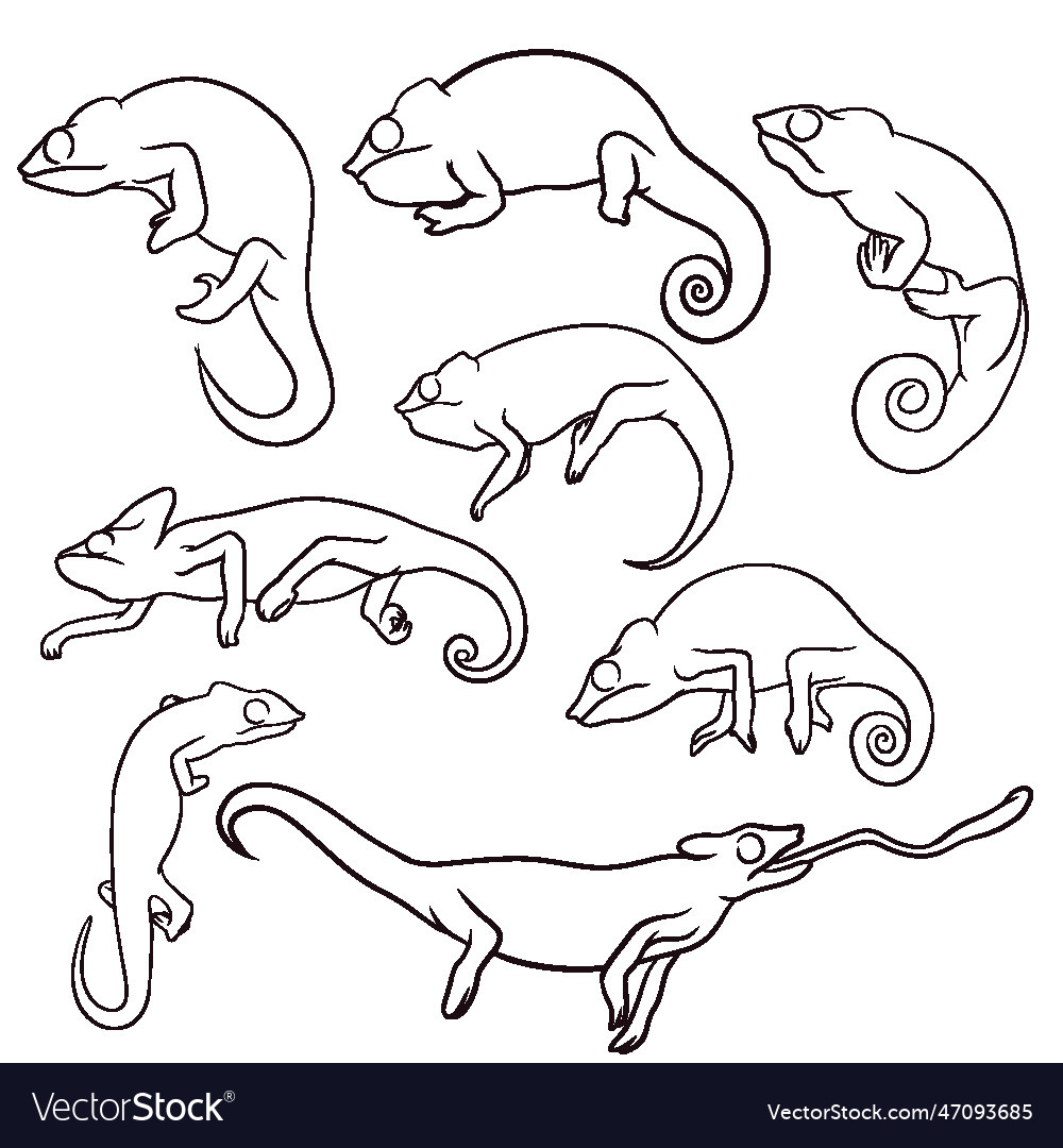 Set of hand drawn chameleon