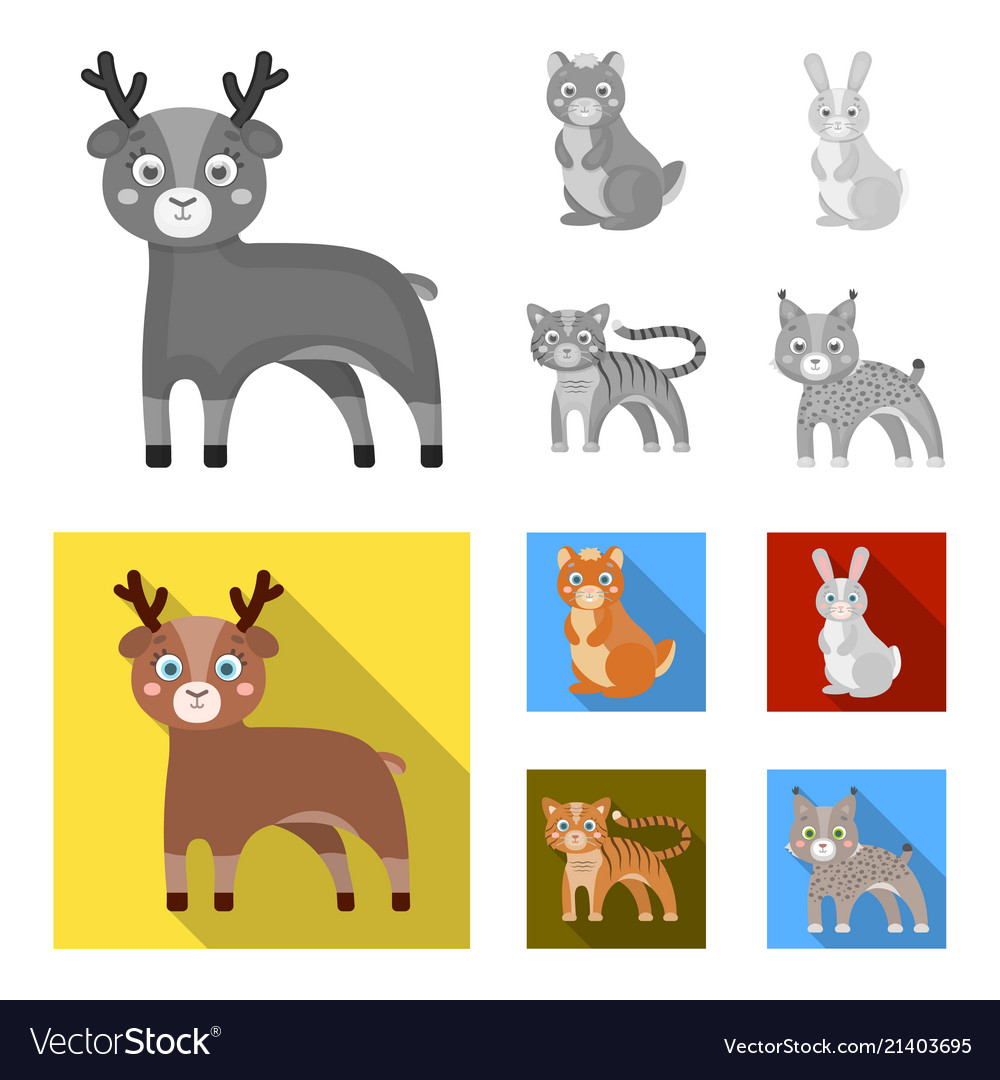 Animals domestic wild and other web icon