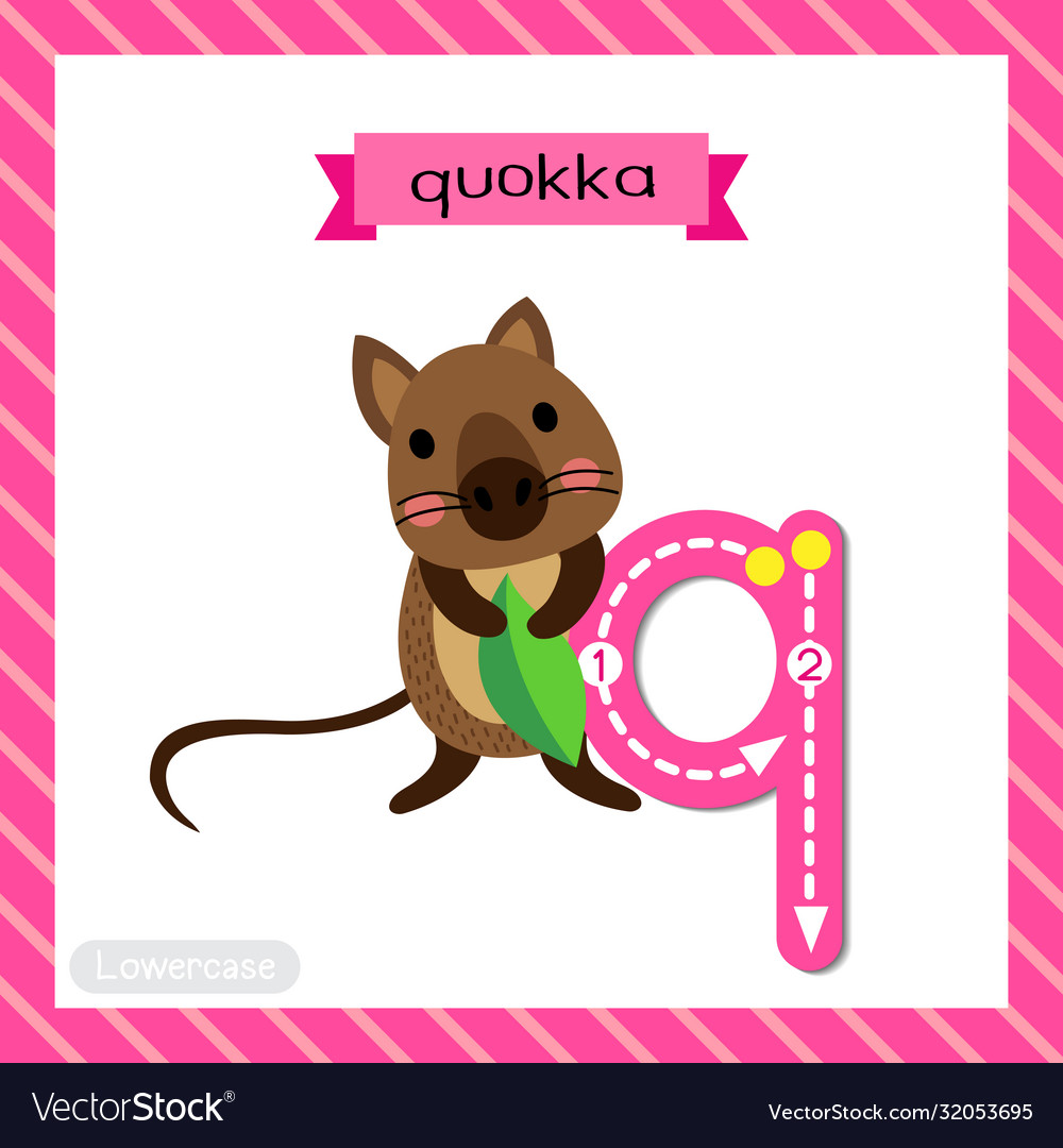 Letter q lowercase tracing quokka holding leaf