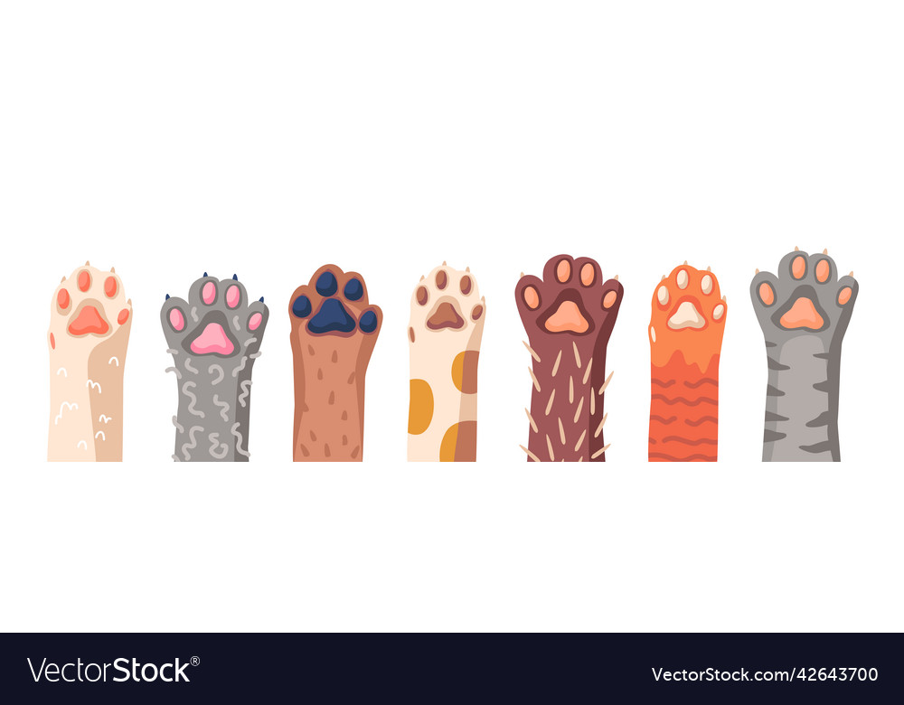 Cat paws row domestic animal foot isolated Vector Image